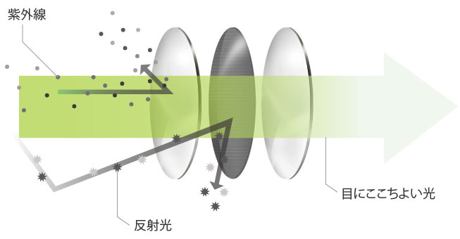 TALEXの高性能技術。